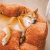 Luxe Diamond Velvet Removable Orthopedic Donut Dog