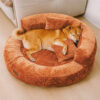 Luxe Diamond Velvet Removable Orthopedic Donut Dog