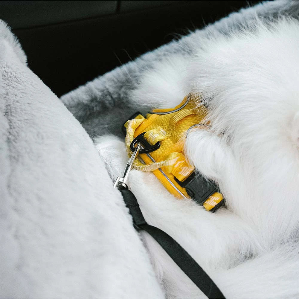 3 in 1 Fluffy Warmth Safe Dog Booster Car Seat Bed
