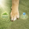 Non-slip All-season Extra Wide Portable Dog Stairs