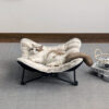 Foldable Elevated Portable Outdoor Camping Dog & C