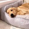 All Seasons Thickened Large Washable Cat & Dog Pil