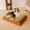 Anti-Anxiety with Sponge Support Deep Sleeping Dog