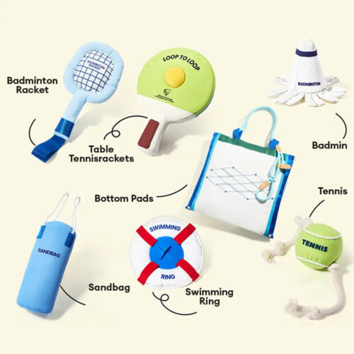 Beach Fun Series Ball Educational Interactive Dog 