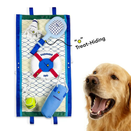 Beach Fun Series Ball Educational Interactive Dog 