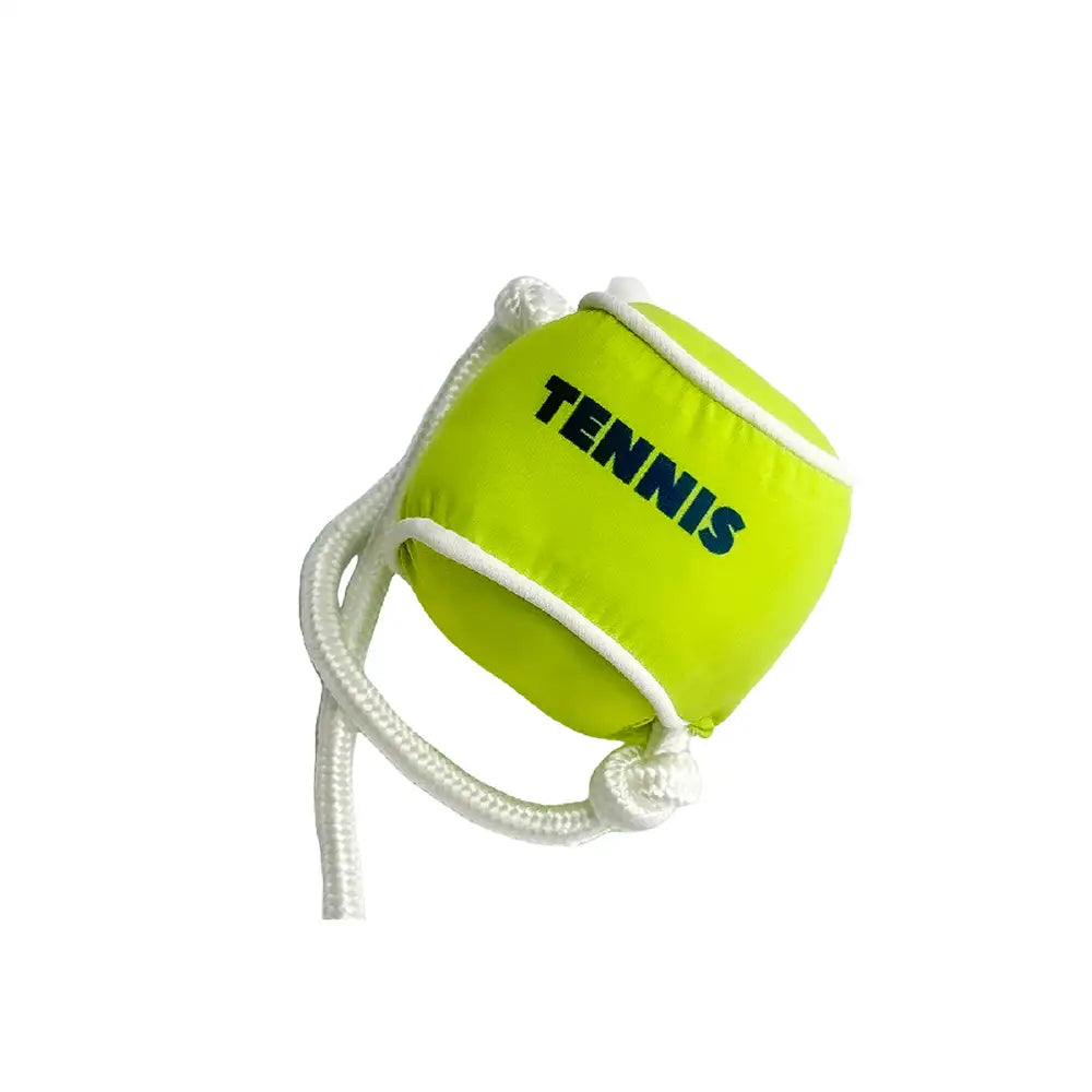Beach Fun Series Ball Educational Interactive Dog