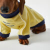 Breathable Thin Puppy Crewneck T-Shirt