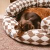 Classic Argyle Washable Bolster Donut Dog Bed - Co