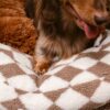 Classic Argyle Washable Bolster Donut Dog Bed - Co