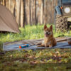 Classic Retro - Waterproof Camping & Car Dual-Use 