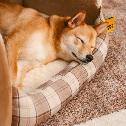 Classical Plaid House Orthopedic Dog Bed - Retreat