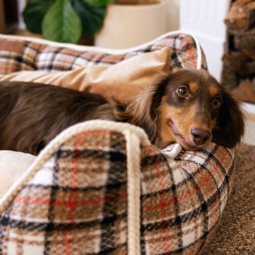 Classical Retro Plaid Removable Bolster Calming Do