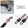 Colorful Buffer Adjustable Cool Dog Accessories Ca