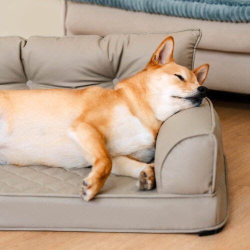Luxe Faux Leather Foldable Orthopedic Large Dog Be