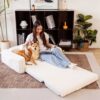 Creamy Fluffy Orthopedic Human-Dog Bolster Bed - E