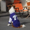 Crew Neck Breathable Washable All Breed Dog T-Shir