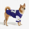 Crew Neck Breathable Washable All Breed Dog T-Shir