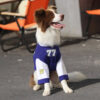 Crew Neck Breathable Washable All Breed Dog T-Shir
