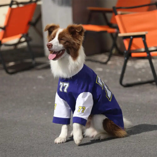 Crew Neck Breathable Washable All Breed Dog T-Shir