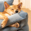 Denim Patchwork Style Pet Double Layer Sofa Dog So