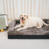 Spacious Cozy Durable Orthopedic Washable Dog & Ca