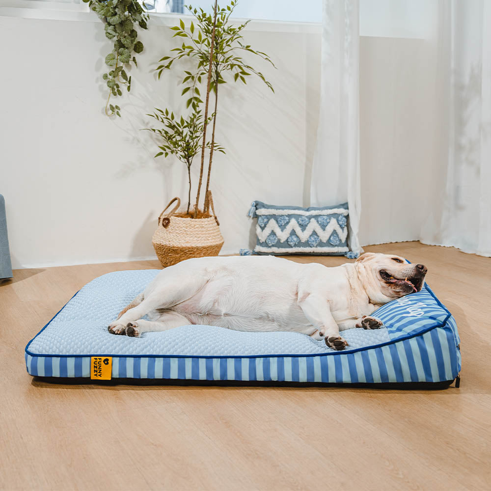 Extra Large Cooling Washable Rectangle Orthopedic