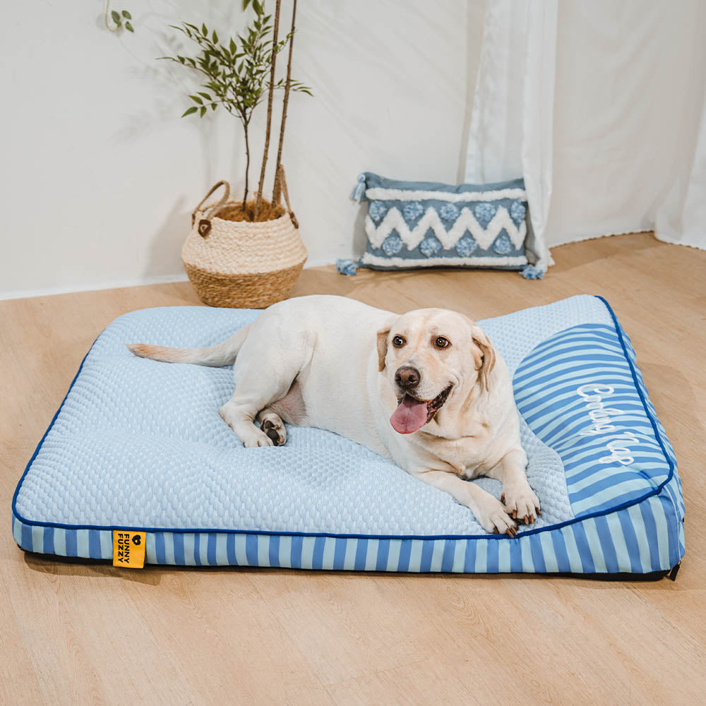 Extra Large Cooling Washable Rectangle Orthopedic