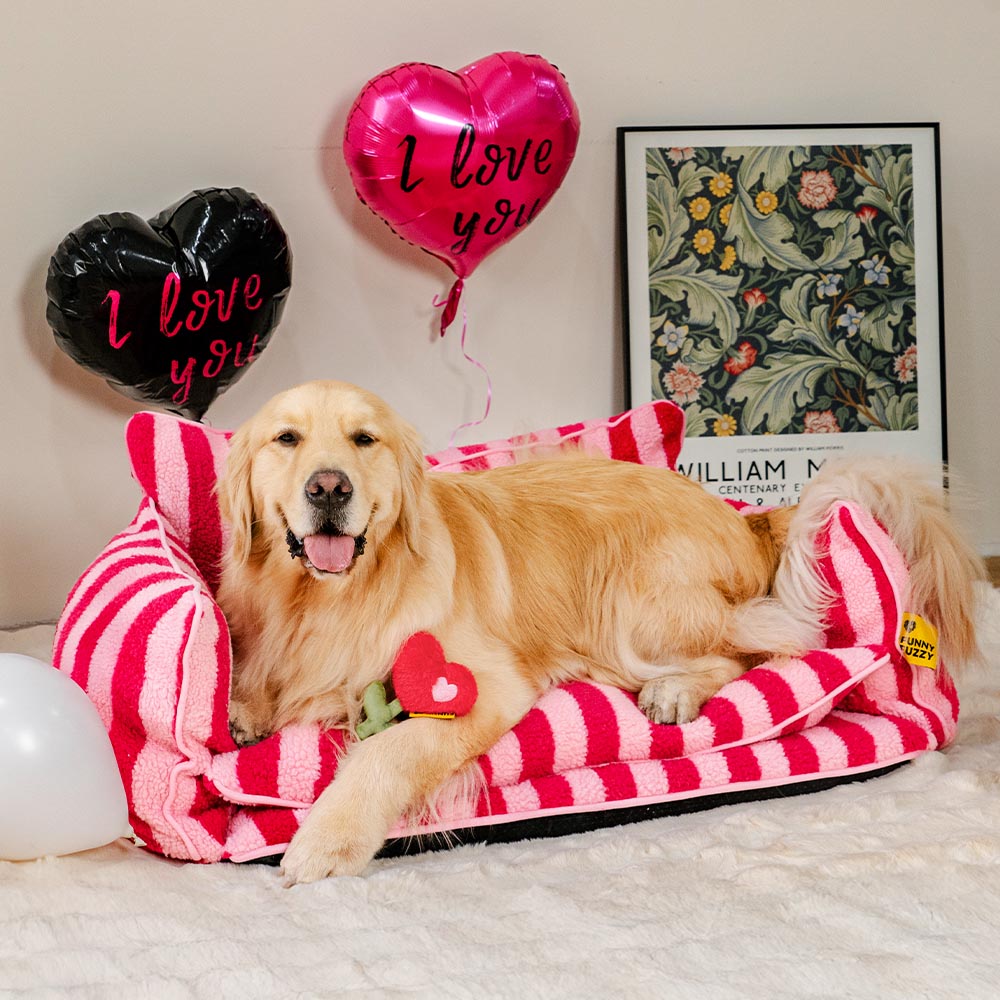 FUNNYFUZZY Valentine's Day Rose Plush Squeaky Dog