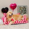 FUNNYFUZZY Valentine's Day Rose Plush Squeaky Dog