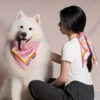 FUNNYFUZZY X Klarna Travel Safety Large Dog Car Se