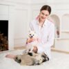 FUNNYFUZZY X Klarna Travel Safety Large Dog Car Se