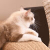 Faux Sisal Scratch-Resistant Sofa Armrest Protecto
