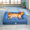 Fully Orthopedic Surround Support Waterproof Large