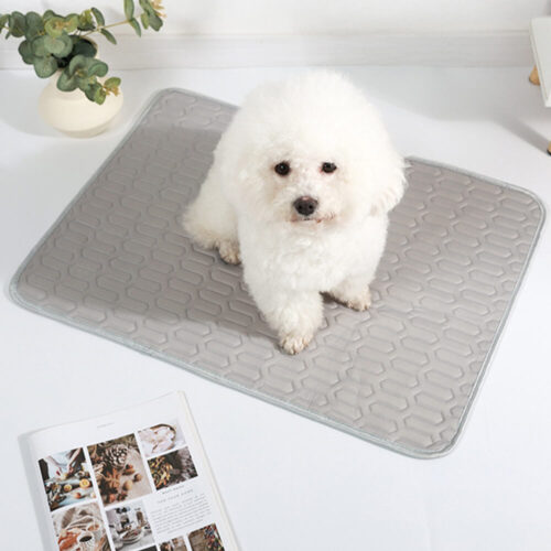 Cooling Washable Non-Slip Breathable Ice Silk Dog 