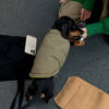 Fashion Reversible Padded Thick Warm Dog Jacket