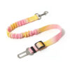 Gradient Elastic Shock-Absorbing Pet Car Safety Be