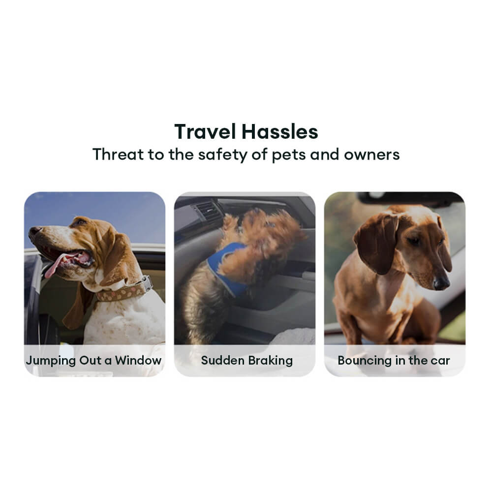 Gradient Elastic Shock-Absorbing Pet Car Safety Be
