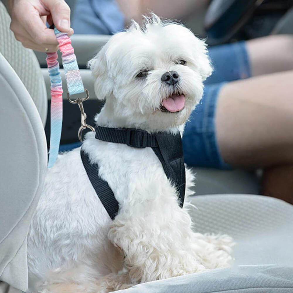 Gradient Elastic Shock-Absorbing Pet Car Safety Be