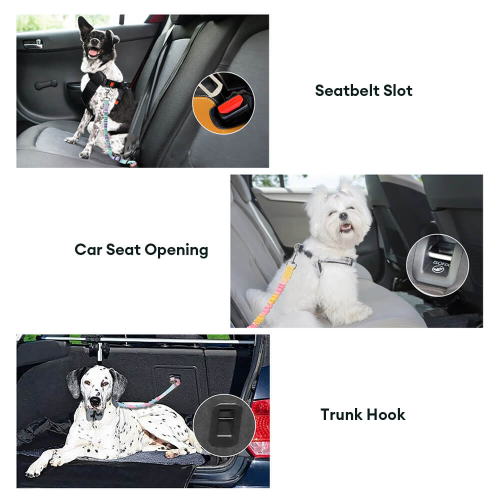 Gradient Elastic Shock-Absorbing Pet Car Safety Be