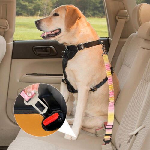 Gradient Elastic Shock-Absorbing Pet Car Safety Be