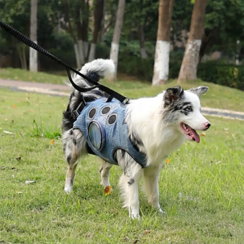 Hands-Free Dog Backpack Carrier for Travel & Hikin
