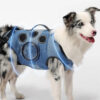 Hands-Free Dog Backpack Carrier for Travel & Hikin