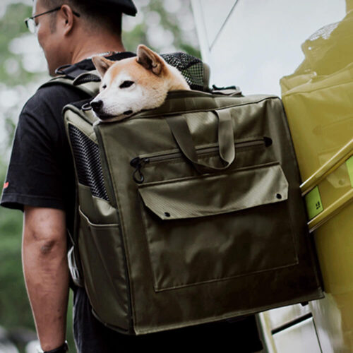 Large Space Breathable Mesh Waterproof Travel Pet 