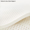 Luxury Natural Latex Supportive Anti-Scratch Dog &