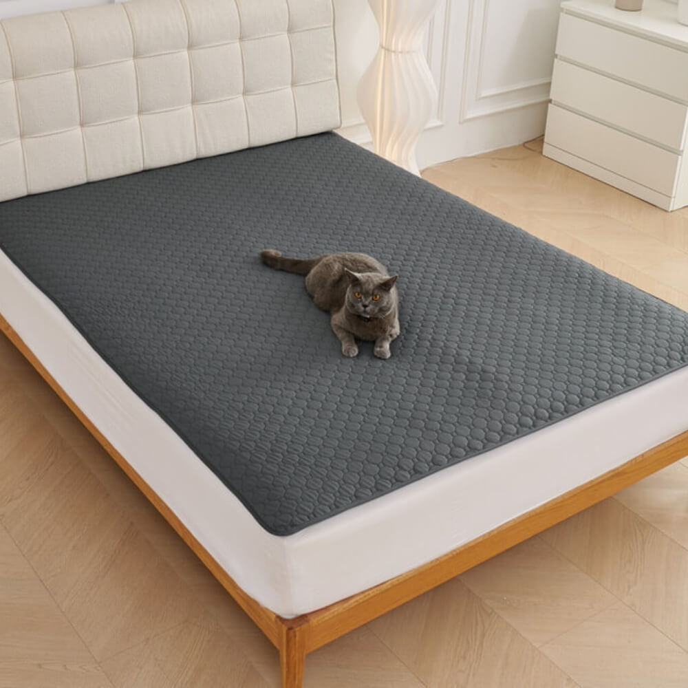 Multi-Purpose Absorbent Leakproof Washable Pet Mat