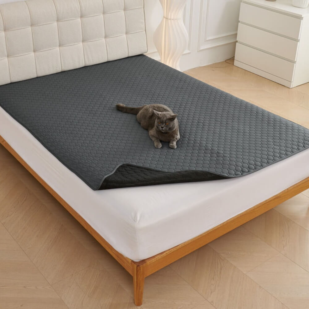 Multi-Purpose Absorbent Leakproof Washable Pet Mat