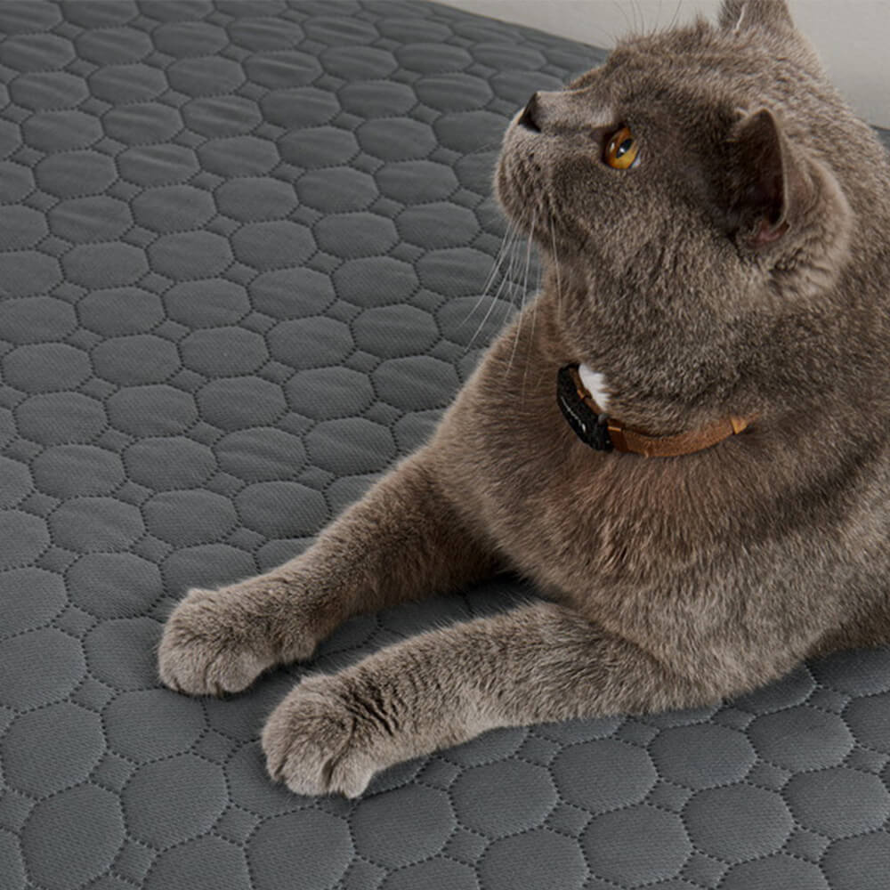 Multi-Purpose Absorbent Leakproof Washable Pet Mat