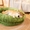 Oval Orthopedic Support Cozy Sleeping Detachable D