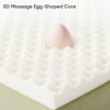 Oval Orthopedic Support Cozy Sleeping Detachable D