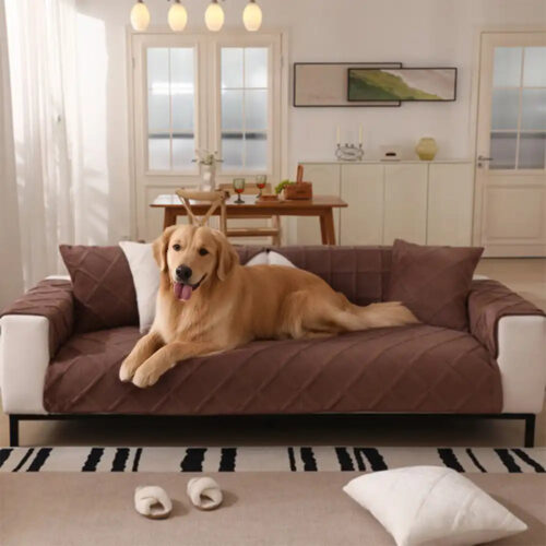 Velvety Soft Short Plush Modern Interiors Couch Co